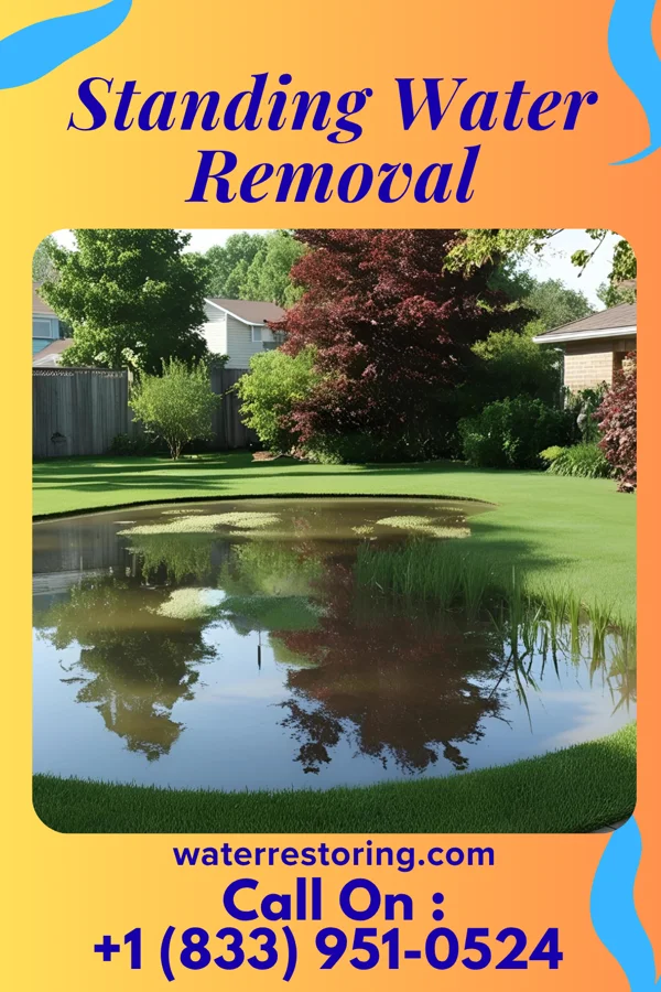 Standing Water Removal in Kaser, NY